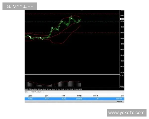亚特兰大与芝加哥精彩对决直播全程回顾与分析